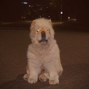 Meet your Posher, Ethan